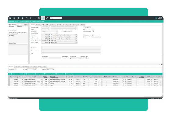 Software ERP - Interfaccia Servizio - abas ERP